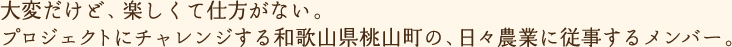 大変だけど、楽しくて仕方がない。プロジェクトにチャレンジする和歌山県桃山町の、日々農業に従事するメンバー。