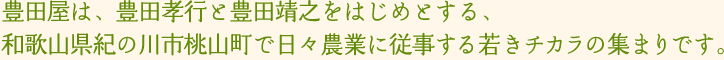 豊田屋は、豊田孝行と豊田靖之をはじめとする、和歌山県紀の川市桃山町で日々農業に従事する若きチカラの集まりです。