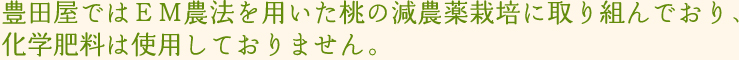 豊田屋ではＥＭ農法を用いた桃の減農薬栽培に取り組んでおり、化学肥料は使用しておりません。